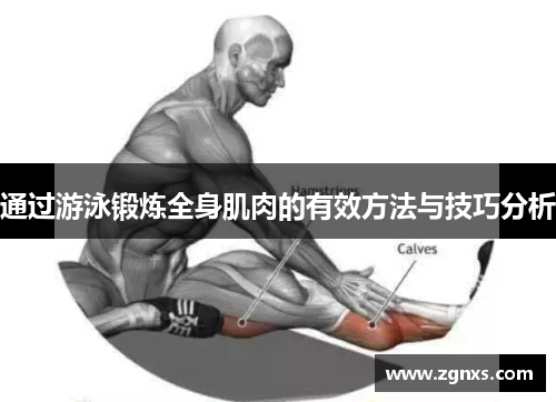 通过游泳锻炼全身肌肉的有效方法与技巧分析