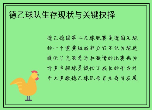 德乙球队生存现状与关键抉择